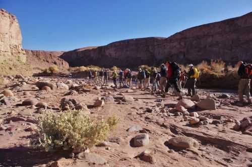 TREKKING NEL DESERTO DI ATACAMA 2015